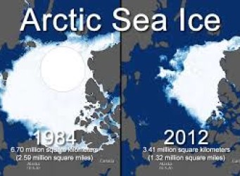 Do You Really Care About Sea Ice?