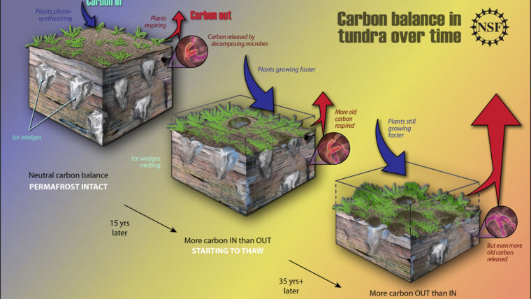 Could Thawing Permafrost Doom the Planet?