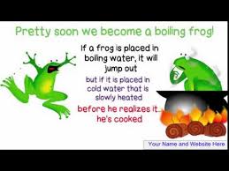 Have You Ever Boiled a Live Frog?
