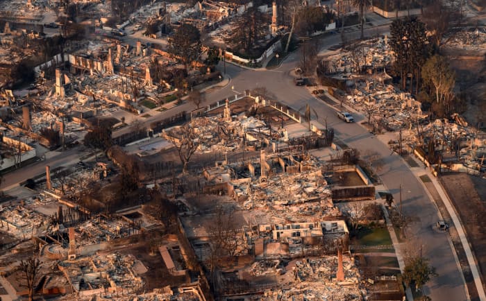 An aerial view of homes burned in the Palisade wildfire in Los Angeles earlier this month.